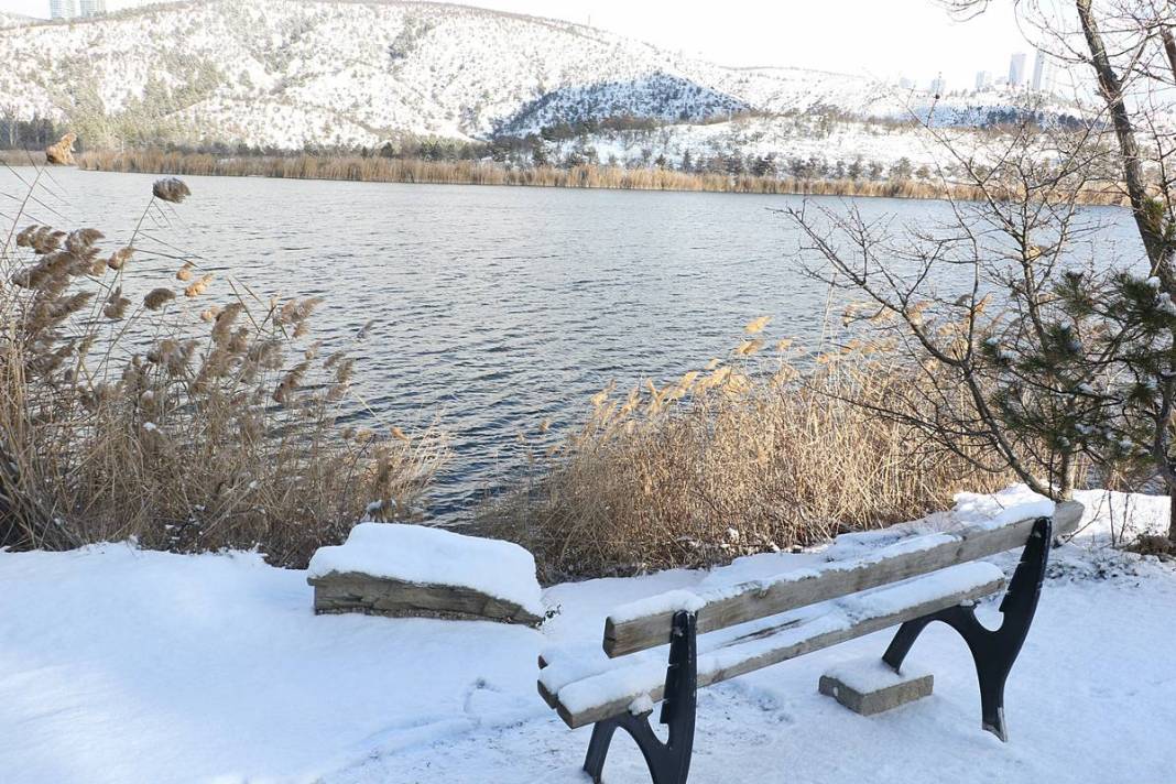 Güvenpark'ta banklar sadece kardan adamlara rezerve! 9